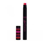 Bourjois Lip Duo Sculpt Contouring 2 in 1 Lipstick & Liner 04 Plum'set Beach